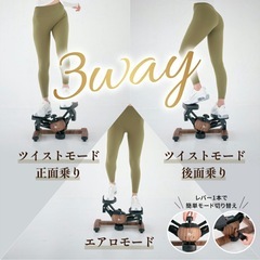 【楽天人気No.1】エアロステッパー【美品】の画像