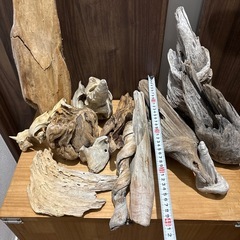 【熱帯魚水槽等にも！】流木各種の画像