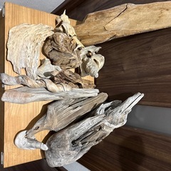 【熱帯魚水槽等にも！】流木各種の画像