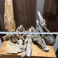 【熱帯魚水槽等にも！】流木各種の画像