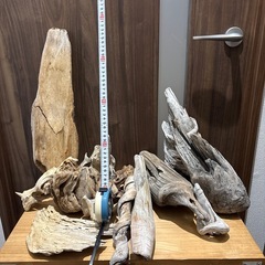 【熱帯魚水槽等にも！】流木各種の画像