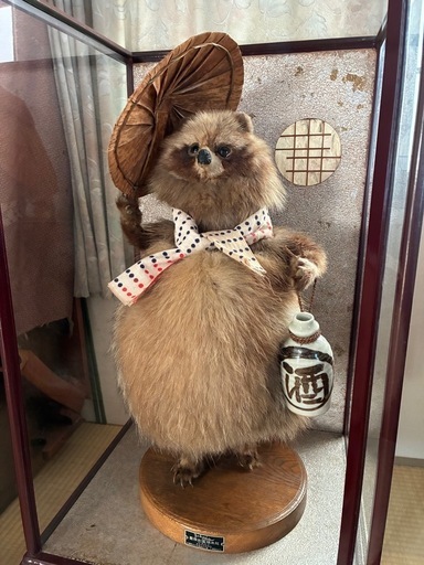 たぬきの剥製 (まめ) 札幌のインテリア雑貨/小物《置物、オブジェ》の