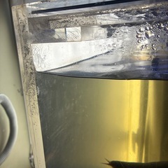 アクリル水槽の画像