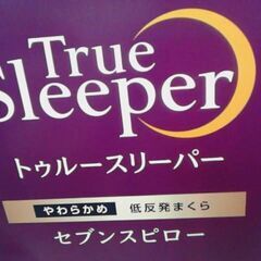 コストコ商品番号　58426　トゥルースリーパー セブンスピロー シングル　A17302の画像