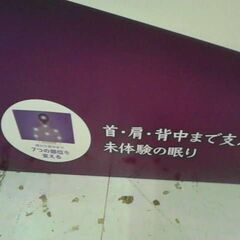 コストコ商品番号　58426　トゥルースリーパー セブンスピロー シングル　A17302の画像