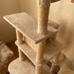 キャットハウス　猫ハウスの画像