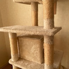 キャットハウス　猫ハウスの画像