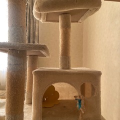 キャットハウス　猫ハウスの画像