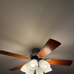 シーリングライト オーデリックの画像