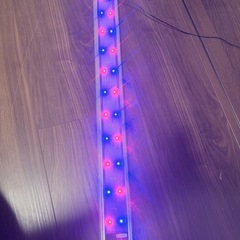 GEX900用　ライトの画像