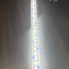 GEX900用　ライトの画像