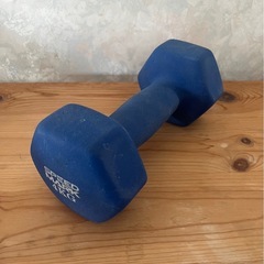 ダンベル4キロの画像