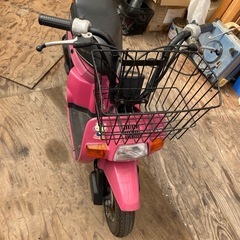 スカッシュ　純正カラー　フルオリジナル車　の画像