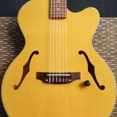 YAMAHA ヤマハ　AEX500N エレガットの画像