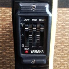 YAMAHA ヤマハ　AEX500N エレガットの画像