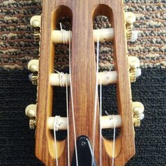 YAMAHA ヤマハ　AEX500N エレガットの画像