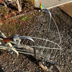 ペットとサイクリングできる自転車　激レア車　丸石　ペットポーター　N.Y.P.Mコラボモデルの画像