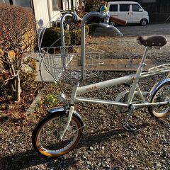 ペットとサイクリングできる自転車　激レア車　丸石　ペットポーター　N.Y.P.Mコラボモデルの画像