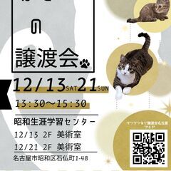 11/21(日)　猫の譲渡会　in　名古屋市昭和生涯学習センター