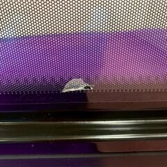 【SHARP】 シャープ 電子レンジ RE-T2-W6 2014年製 動作確認済み ホワイト ターンテーブル キッチン家電 A0884の画像