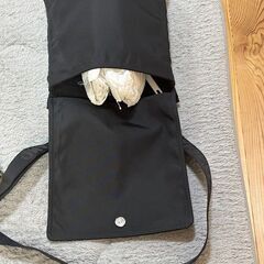 フェラガモショルダーバッグ　の画像