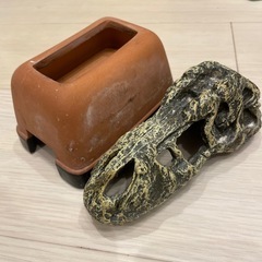 爬虫類飼育セットの画像