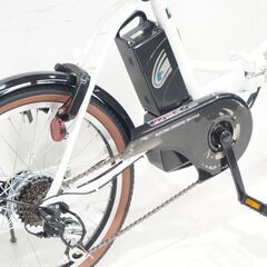PELTECH TDN-206L 2025年モデル 20インチ 電動アシスト自転車の画像