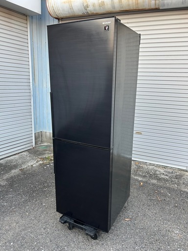 【決まりました】24年製! SHARP シャープ SJ-PD31K 310L プラズマクラスター冷蔵庫 2ドア