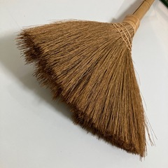 座敷ぼうきの画像