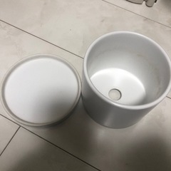 鉢　陶器　☘️室内用の画像