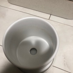 鉢　陶器　☘️室内用の画像