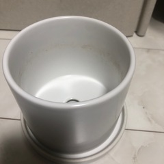 鉢　陶器　☘️室内用の画像