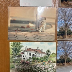 ポストカード、官製葉書1枚の画像