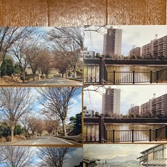 ポストカード、官製葉書1枚の画像