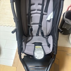 フィルアンドテッズ2人乗りベビーカーの画像