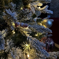 Francfranc Xmastreeの画像