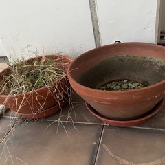 植木鉢四つセットの画像