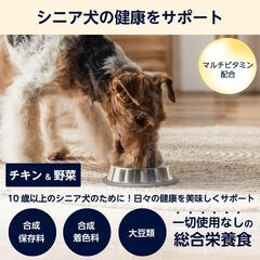 【新品・Amazonブランド】犬用ウェットフード 総合栄養食 10歳以上 チキン&野菜 70g x 12個の画像