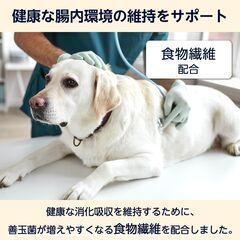 【新品・Amazonブランド】犬用ウェットフード 総合栄養食 10歳以上 チキン&野菜 70g x 12個の画像