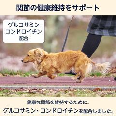 【新品・Amazonブランド】犬用ウェットフード 総合栄養食 10歳以上 チキン&野菜 70g x 12個の画像
