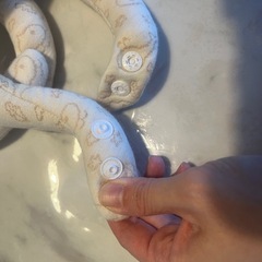 【双子】MyBebe 授乳グッズ　2個セット　の画像