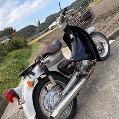 ホンダ　リトルカブ　スーパーカブ　カブ　原付　バイク　車体　車両の画像