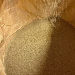 令和7年産 新米ヒノヒカリ農家直販✨複数購入には値引きします！　の画像