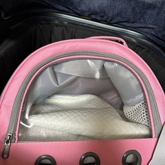 小動物キャリーケースの画像