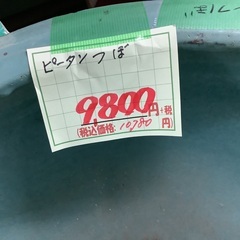 ピータン つぼ 管G251121DK (ベストバイ 静岡県袋井市)の画像