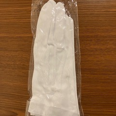 鉄道 運転士、車掌　白手袋の画像