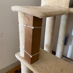 【引渡者決定】閲覧ありがとうございますございました。ottostyle.jp キャットツリー GRANDE 【ベージュ】 天井つっぱり棒なしタイプ 据え置き ローステップ 低い段差 シニア ぽっちゃり 子猫 爪とぎ の画像