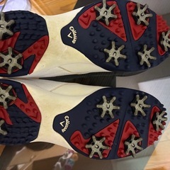 ゴルフシューズの画像