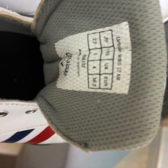 ゴルフシューズの画像