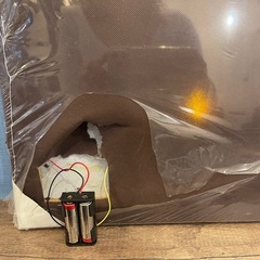 〖これからの季節に〗クリスマスオブジェの画像